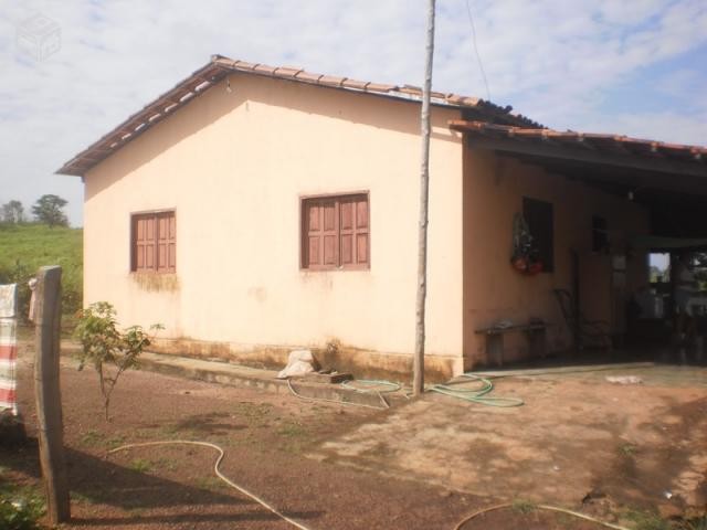 Fazenda com dupla aptidão em dois irmãos- to