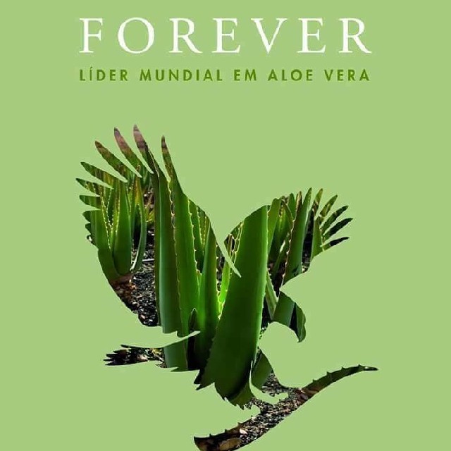 Foto 1 - Forever living products